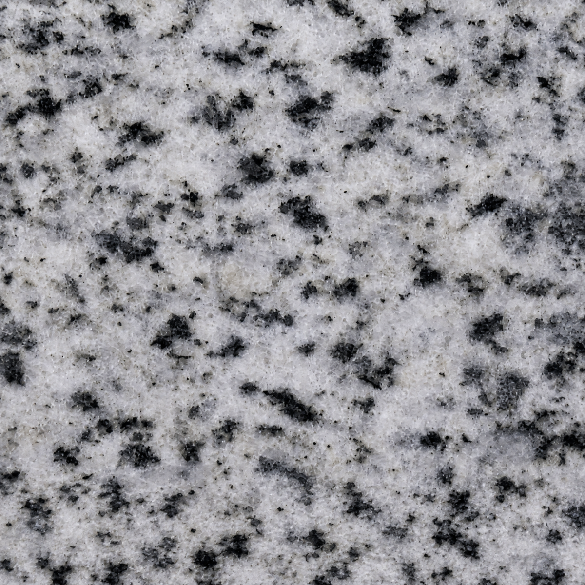 Grantio Halayeeb 2400X700X20MM